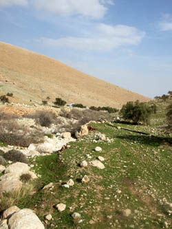 Fazael brook (Nahal Fatsael), נחל פצאל 