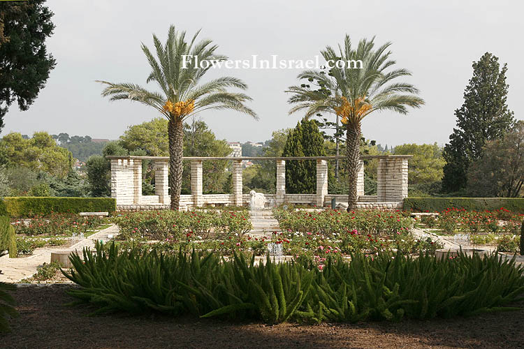 Zichron Yaakov, Ramat HaNadiv, Memorial Gardens,Rose garden, 